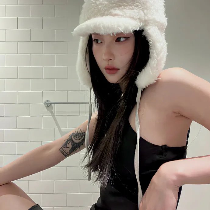 来自收容所的爱